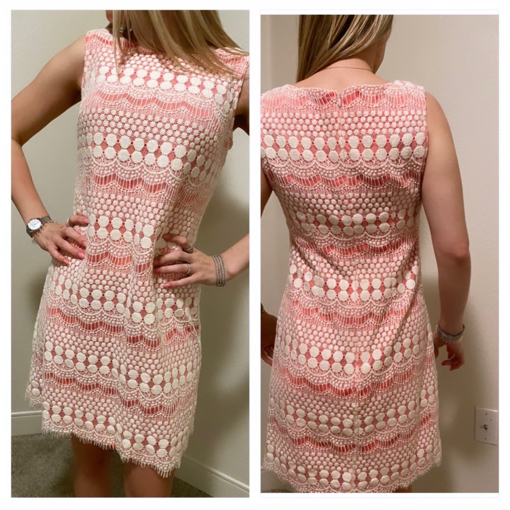 Eliza J Lace Dress Size 4 in Perfect Condition